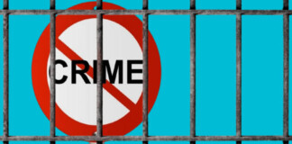 Madhubani News: जयनगर में Illegal Lottery पुलिस का बड़ा एक्शन, 115 लॉटरी टिकट के साथ एक गिरफ्तार