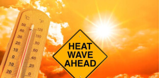 Bihar News: बिहार में हीटवेव का टॉर्चर, IMD की चेतावनी, अगले 4 दिन भीषण गर्मी, 44 डिग्री पहुंचेगा पारा!