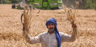 Bihar Wheat Procurement: बिहार के किसानों के लिए बड़ी खुशखबरी! गेहूं खरीद का लक्ष्य 10 गुना बढ़ा, जानिए Good News