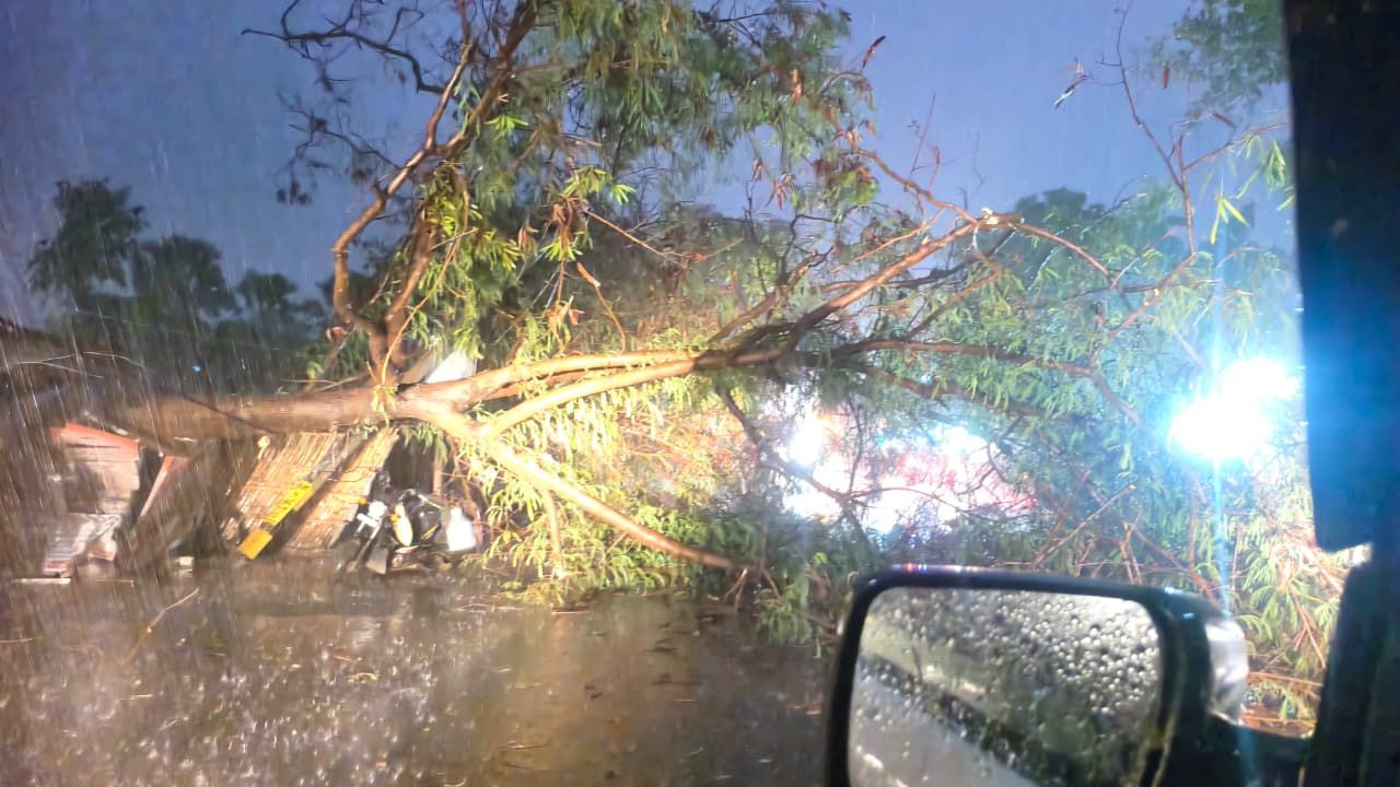 Samastipur -Darbhanga News: समस्तीपुर-तारालाही मार्ग पर बड़ा हादसा, आंधी में गिरे बड़े पेड़, लगा भीषण जाम, तारालाही के पास घंटों फंसे वाहन Big Breaking