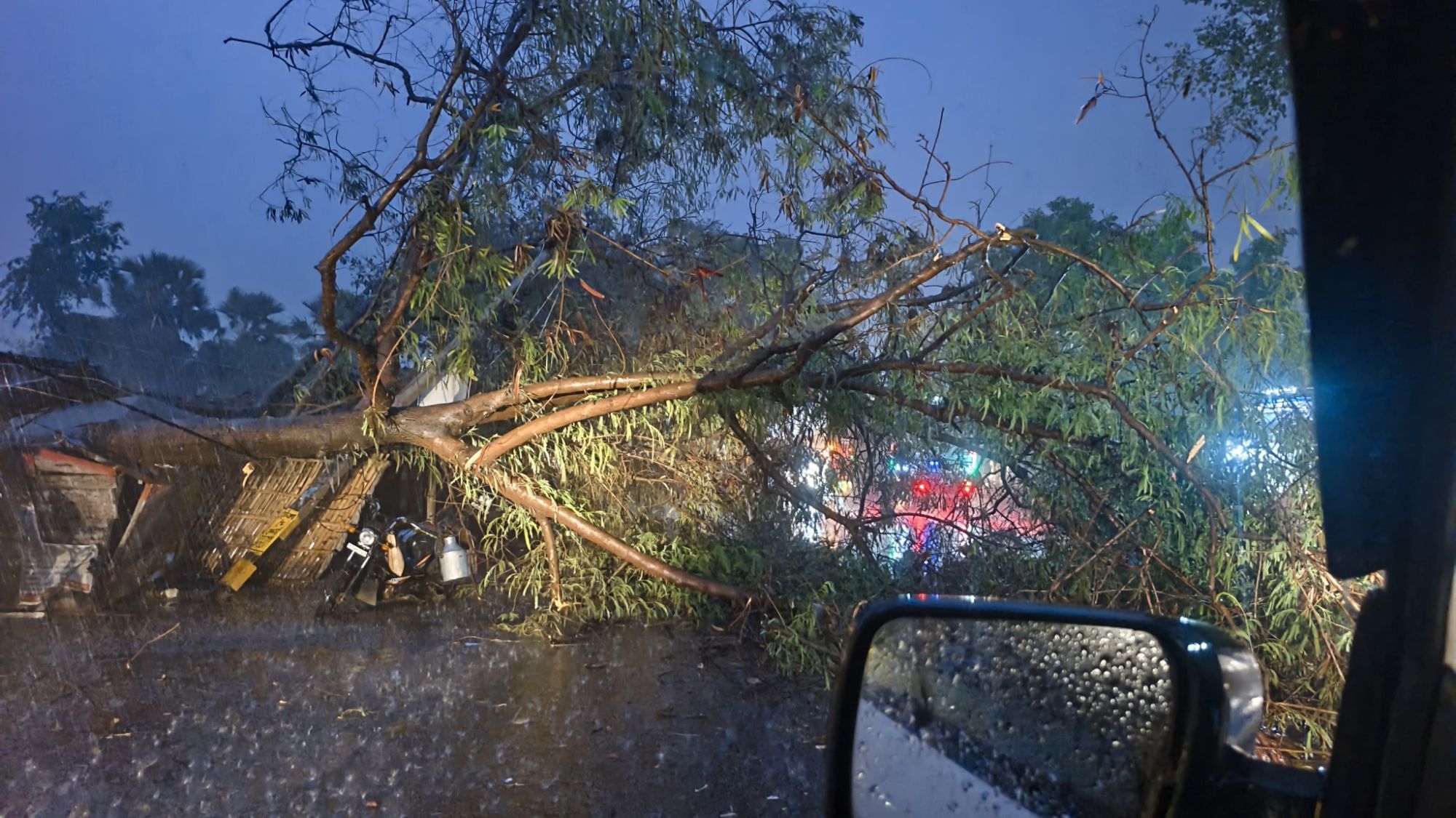 Samastipur -Darbhanga News: समस्तीपुर-तारालाही मार्ग पर बड़ा हादसा, आंधी में गिरे बड़े पेड़, लगा भीषण जाम, तारालाही के पास घंटों फंसे वाहन Big Breaking