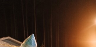 Bihar News: बिहार में अपराधियों की खैर नहीं! Forensic Science से मिलेगी सजा, खुलेंगे 13 फोरेंसिक साइंस लैब