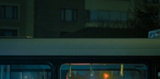 Darbhanga News: हरियाणा से -दरभंगा आ रही बस में लगी आग, NH-27 पर यात्रियों ने खिड़की तोड़कर बचाई जान, कई घायल