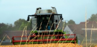 Bihar News: कृषि इनपुट अनुदान, बिहार के किसानों के लिए बड़ी खबर! ऐसे मिलेगा फसल क्षति का मुआवजा, 5 मई तक करें आवेदन