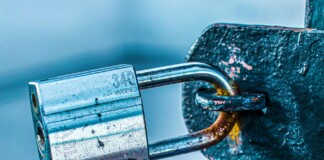 Bihar VIP Security: बिहार में बड़े नेताओं की सुरक्षा बदली, विजय सिन्हा की Z+ घटी, श्रवण कुमार को Y+ एस्कॉर्ट!