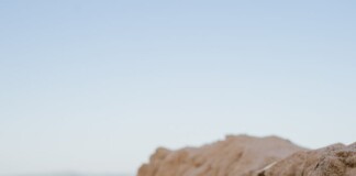 Bihar Sand Mining: बिहार में बालू घाटों की अड़चनें दूर, निर्माण कार्यों को मिलेगी रफ्तार