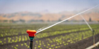 Bihar News: 56 करोड़ से बदलेगी सोन नहर की सूरत, Bihar Irrigation Project से लाखों किसानों को होगा फायदा!