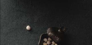 Bihar News: बिहार को मिला प्रतिष्ठित मखाना अवार्ड, देश में मिली मखाना वैल्यू चेन के नवाचार को बड़ी पहचान