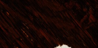 JEE Main Result: बिहार के शुभम ने किया कमाल, 100 परसेंटाइल के साथ टॉपर्स में शामिल