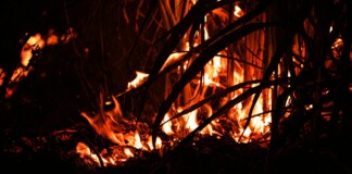 Madhubani News: मधुबनी Fire मधवापुर की चिंगारी ने मचाई तबाही, तीन परिवारों के मवेशी घर जलकर राख, दो मवेशियों की दर्दनाक मौत…अलाव बना काल