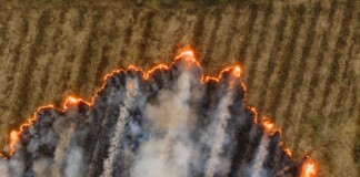 Bihar Crop Fire: सिवान से नवादा तक धधके किसानों के अरमान, करोड़ों की फसल राख