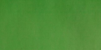 Rural Health Bihar: ग्रामीण स्वास्थ्य के भाग्य जाग जाएंगे… आशा-जीविका दीदियां बनेंगी हेल्थ वॉरियर्स, जानिए क्या मिलेगा गांव में खास!