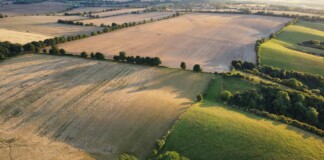 Bihar E-Maapi: बिहार में जमीन मापी के नए रेट जारी, अब घर बैठे होगा ऑनलाइन आवेदन, जानें शहर-गांव का शुल्क