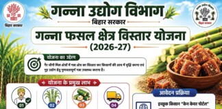 गन्ना विकास: गन्ना उत्पादक जिलों में विकास परिषदों के लिए बजट तैयारी शुरू, DMs को मिले निर्देश