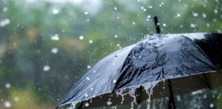 Darbhanga News: दरभंगा में धूल भरी आंधी: अचानक बदले मौसम ने मचाई तबाही, जनजीवन अस्त-व्यस्त