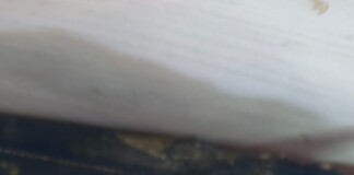 Darbhanga News: झाझा गांव में Kusheshwarsthan Firing कुशेश्वरस्थान में लेन-देन के विवाद में युवक को गोली मारी, पढ़िए – नदी में बारूद