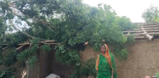 Darbhanga News:जाले में Storm Damage आंधी-तूफान ने मचाई तबाही, घरों को पहुंचा भारी नुकसान, बाल-बाल बची एक महिला