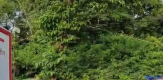 Bhagalpur Court News: प्रेम विवाह के बाद युवक की बेरहमी से पिटाई, कोर्ट परिसर में मचा हड़कंप!