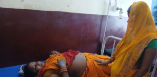 Darbhanga News: मुजफ्फरपुर के गायघाट में हादसा, Singhwara Accident News: महेश्वरा पुल पर ई-रिक्शा पलटा, 4 महिलाएं गंभीर जख्मी
