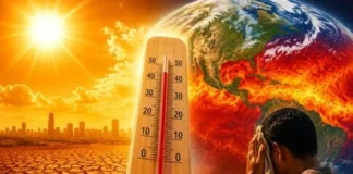 Bihar Whether: बिहार हीटवेव का सितम, 25 मई से आ रहा ‘नौतपा’ …बढ़ेगा पारा, 45 डिग्री पार पहुंचा कई शहरों का तापमान, IMD की चेतावनी