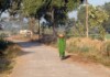 Bihar Rural Roads: बिहार में अब साढ़े पांच मीटर चौड़ी होंगी ग्रामीण सड़कें, सुगम होगा आवागमन Latest Bihar News in Hindi (बिहार न्यूज़) - Deshaj Times