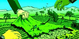 Bihar Land Corruption: बिहार में भू-माफियाओं का खेल खत्म! सरकार ने बनाया ‘स्पेशल सेल’, EOU की अंचलों पर रहेगी पैनी नजर!