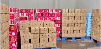 Muzaffarpur Litchi News: मुजफ्फरपुर की शाही लीची राष्ट्रपति-PM तक पहुंची, 2000 पैकेट रवाना