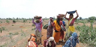 MNREGA Bihar: बिहार के ग्रामीण क्षेत्रों में विकास की बहार, सरकार ने जारी किए ₹66 करोड़, जानिए क्या होंगे काम!
