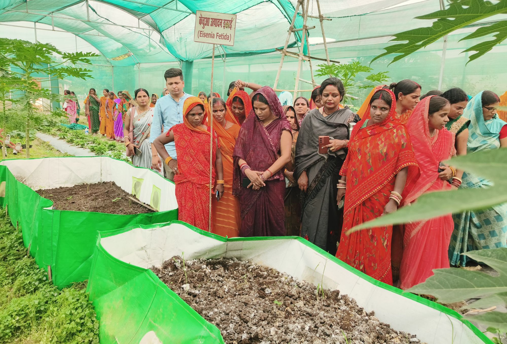 Darbhanga News: महिला किसान अब थामेंगी कमान, 55 ‘किसान दीदियां’ बनीं आधुनिक खेतिहर, पढ़िए -वैज्ञानिक इल्म से ' ड्रैगन फ्रूट '