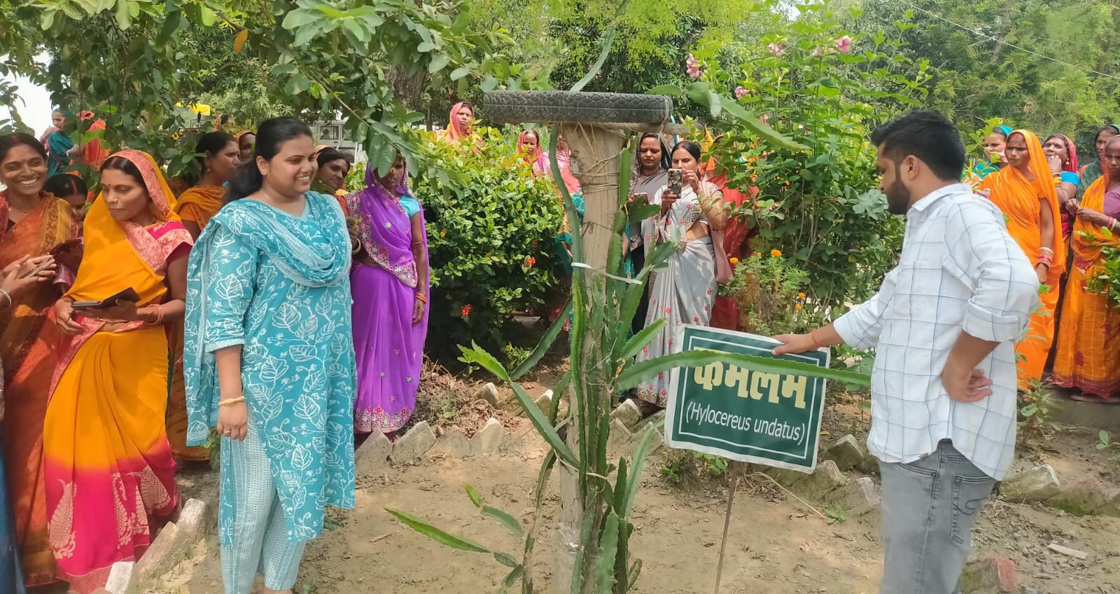 Darbhanga News: महिला किसान अब थामेंगी कमान, 55 ‘किसान दीदियां’ बनीं आधुनिक खेतिहर, पढ़िए -वैज्ञानिक इल्म से ' ड्रैगन फ्रूट '