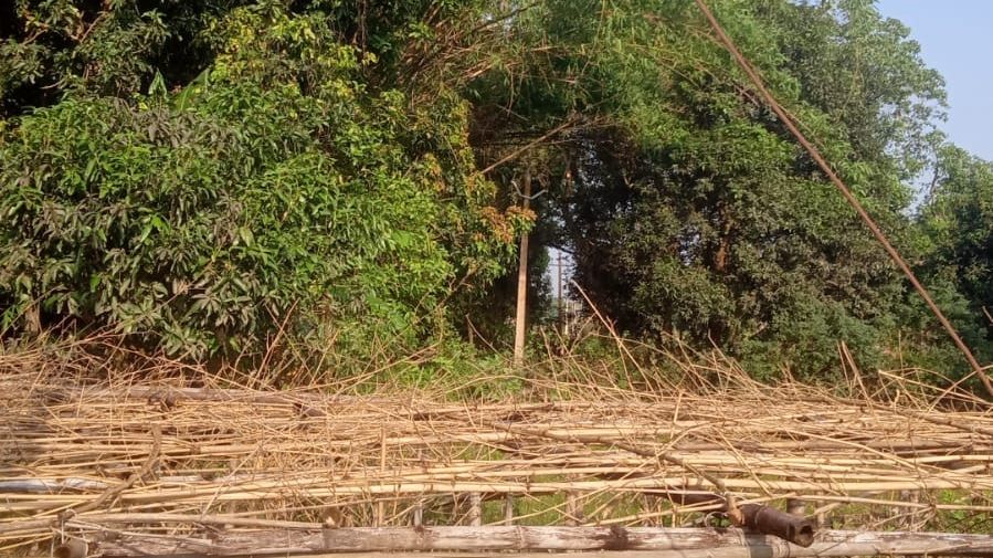 Darbhanga News: ढीले तारों की बेतरतीब मौन व्यवस्था... Power Cut से अंधेरे में डूबा जाले, ग्रामीण बोले - 'विभाग की लापरवाही से हर बार होता है ऐसा!'