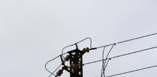 Bihar Electricity Services: बिहार में बिजली उपभोक्ताओं के लिए बड़ी खबर! आज से ऑनलाइन सेवाएं बंद: