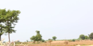 Bihar News: बिहार में चीनी मिलों की बहार, सरकार का मेगा प्लान, जानिए -Darbhanga समेत 25 नई चीनी मिलों का पूरा रोडमैप