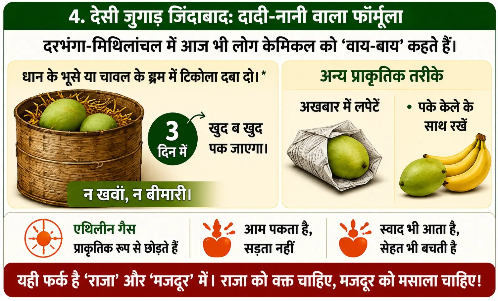 King of Fruits or King of Chemicals? Inside Bhagalpur’s Mango Market