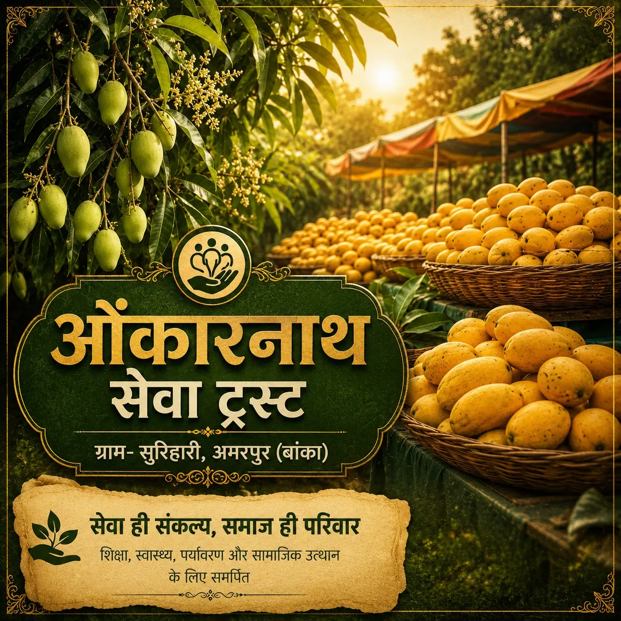 King of Fruits or King of Chemicals? Inside Bhagalpur’s Mango Market