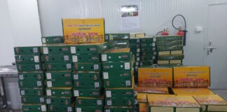 Bhagalpur Jardalu Mango News: राष्ट्रपति भवन पहुंचा भागलपुर का जर्दालू आम