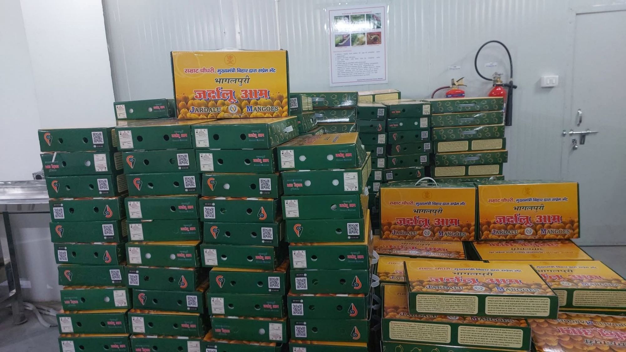 Patna Jardalu Mango News: बिहार के जर्दालू आम की मिठास अब राष्ट्रपति-PM तक, मंत्री उद्योग मंत्री श्रेयसी सिंह जानिए कहां पहुंची! | Deshaj Times Patna Jardalu Mango News: बिहार के जर्दालू आम की मिठास अब राष्ट्रपति-PM तक, मंत्री उद्योग मंत्री श्रेयसी सिंह जानिए कहां पहुंची!