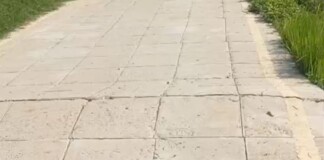 Darbhanga Road News: महुली सलाम चौक की सड़क के साथ ये कैसा चमत्कार? तेज आवाज के साथ अचानक ऊपर उठी PCC सड़क, इलाके में हड़कंप!
