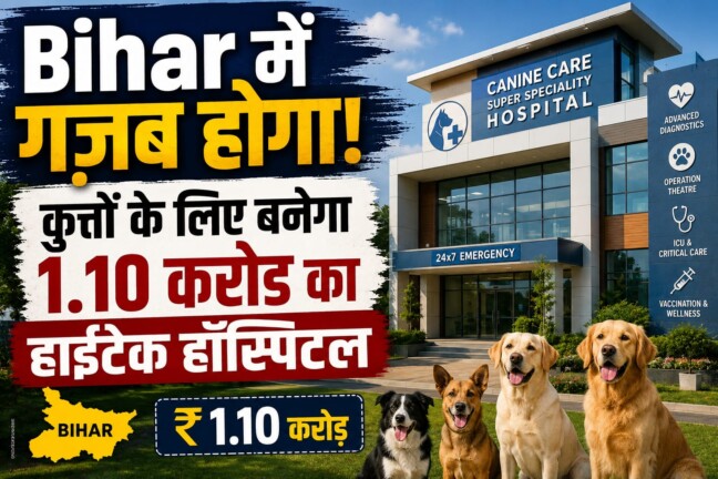 Bihar में गज़ब होगा! कुत्तों के लिए बनेगा 1.10 करोड़ का हाईटेक अस्पताल, इनके लिए मिलेगी यह खास सुविधा, जानिए