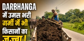 Darbhanga Farmer News: उमस भरी गर्मी में भी किसानों का जज्बा! काठ की बैलगाड़ी पर गोबर का खाद, चल पड़ी किसानी, धान बुवाई की बड़ी तैयारी