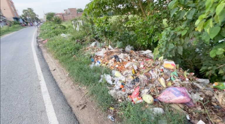 Darbhanga Garbage News: दरभंगा में कचरे का पहाड़, जाले- घोघराहाचट्टी मार्ग पर तीखी दुर्गंध, बढ़ी लोगों की मुश्किलें, बीमारियों का खतरा!