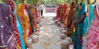 Darbhanga Mushroom News: जाले की महिलाओं ने मशरूम से बदली अपनी तकदीर! जानें कैसे कम लागत में हुई बंपर कमाई