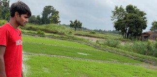 Darbhanga Weather News: दरभंगा में झमाझम बारिश, किसानों के लिए यह अच्छी खबर भी है… बुरी भी, जानिए असर!