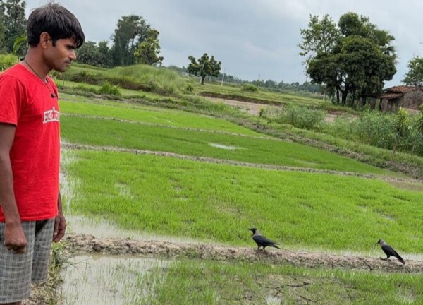 Darbhanga Weather News: दरभंगा में झमाझम बारिश, किसानों के लिए यह अच्छी खबर भी है… बुरी भी, जानिए असर!