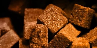 Bihar Jaggery Subsidy News: बिहार में गुड़ क्रांति! 1 करोड़ तक का सरकारी अनुदान, कहीं चूक न जाएं आवेदन की अंतिम तारीख!