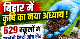 Bihar Soil Testing: बिहार में कृषि का नया अध्याय! 629 स्कूलों में खुलेंगी मिट्टी जांच लैब, जानें छात्रों को क्या मिलेगा लाभ