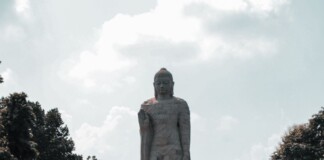 Rajgir Tourism News: राजगीर के जंगलों में बनेगा अद्भुत इको-रिसॉर्ट! जानिए कब मिलेगा प्रकृति के करीब रहने का मौका?