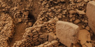 Sheikhpura Archeology News: शेखपुरा के चांदी वृंदावन पहाड़ पर मिला अनमोल खजाना, इतिहास के नए रहस्य खुले!