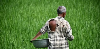 Darbhanga Kisan News: किसानों के लिए खुशखबरी! दरभंगा में खरीफ महाअभियान पर बड़ा फैसला, अब खेती होगी और आसान, जानिए – 13 जून की तैयारी